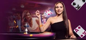 Dashboard pasar taruhan bola voli di platform mallbet